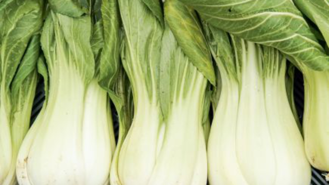 pakchoi